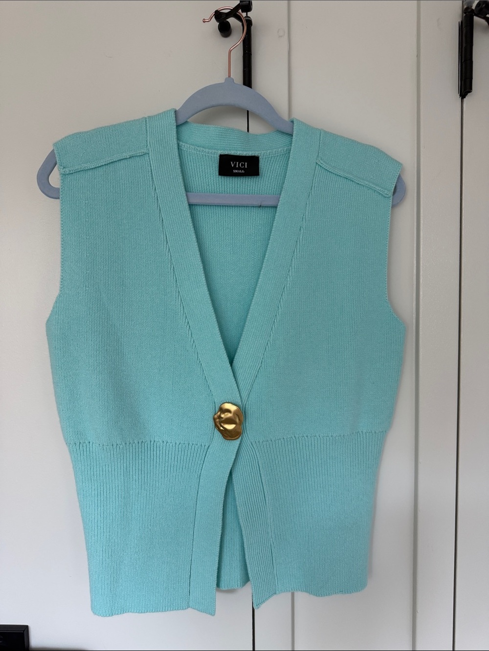 VICI Aqua Knit Sleeveless Vest with Gold Sculpted Button